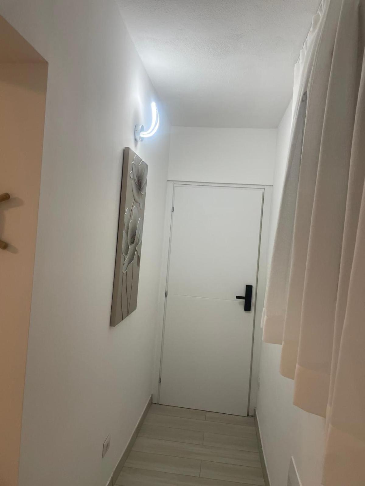 דירות אולביה Camelia'S House מראה חיצוני תמונה